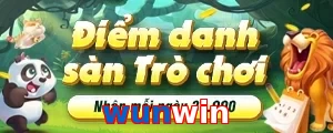 wunwin